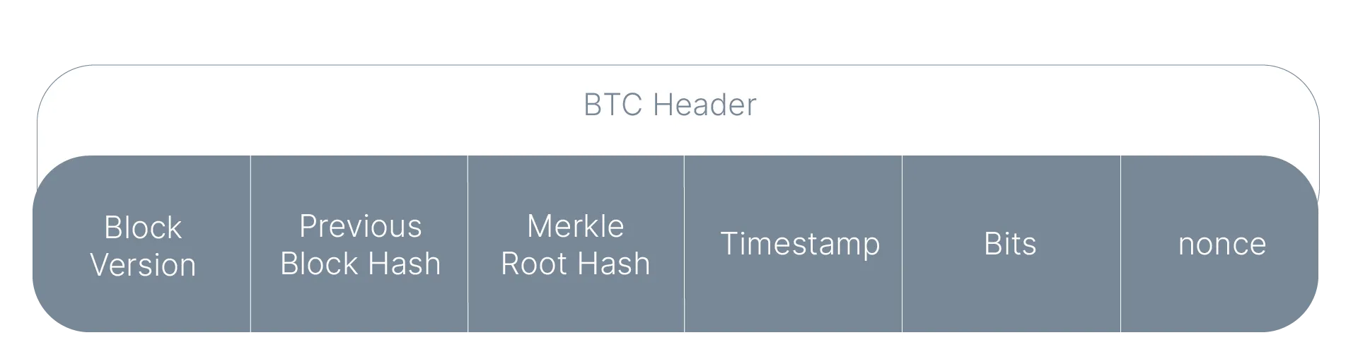 Bitcoin Block Header