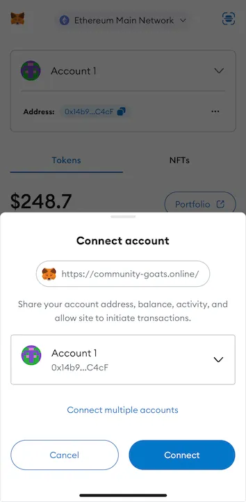 Mobile wallet asking the user to grant permission to the Fake Airdrop dApp